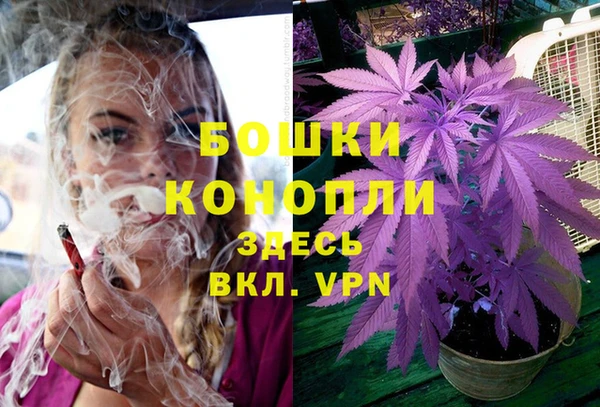 PSILOCYBIN Богородск