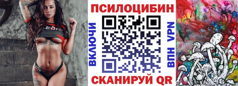 Купить где  Бодайбо  Галлюциногенные грибы Cubensis 